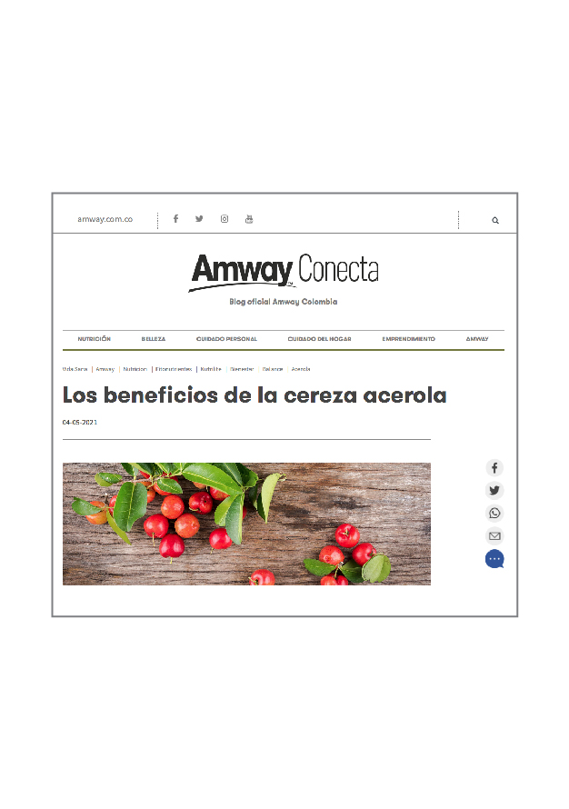 Blog conecta