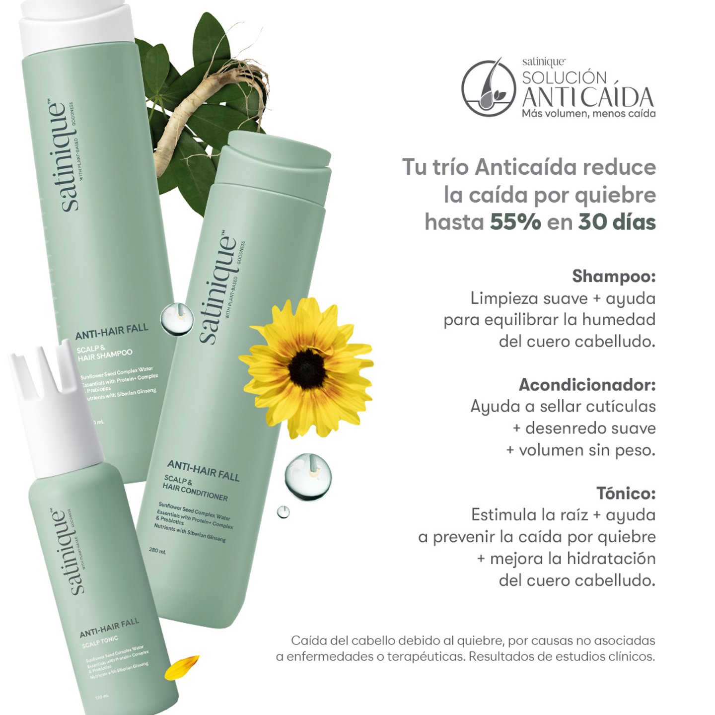 Claims  Solución anticaída Satinique 