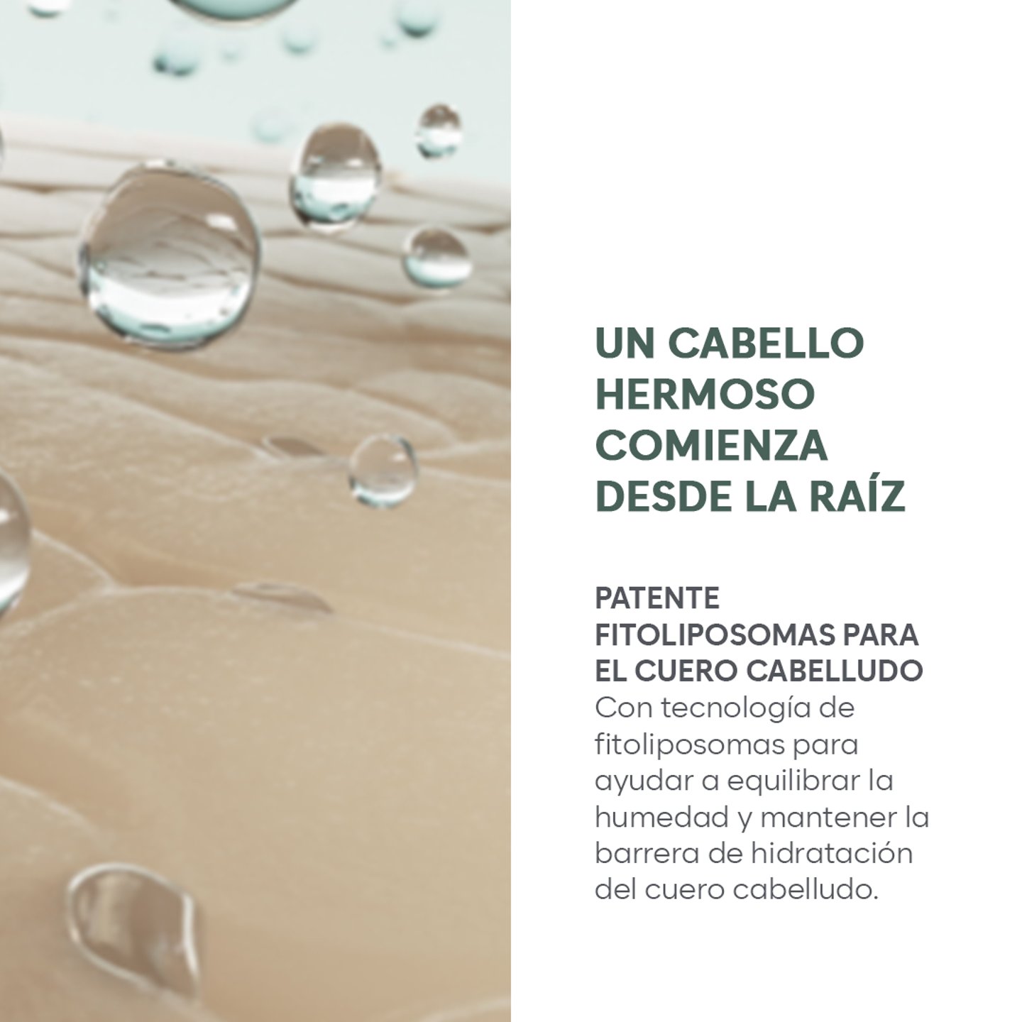 Solución anticaída Satinique Patente 2