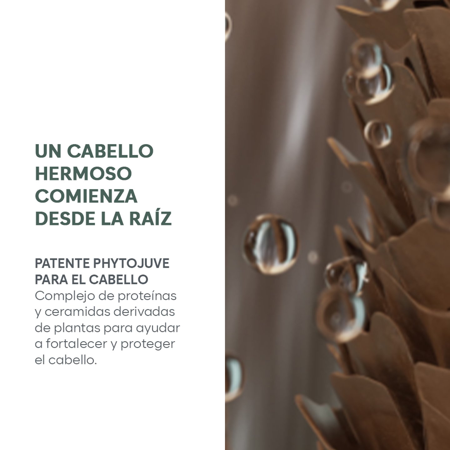 Solución anticaída Satinique Patente 1