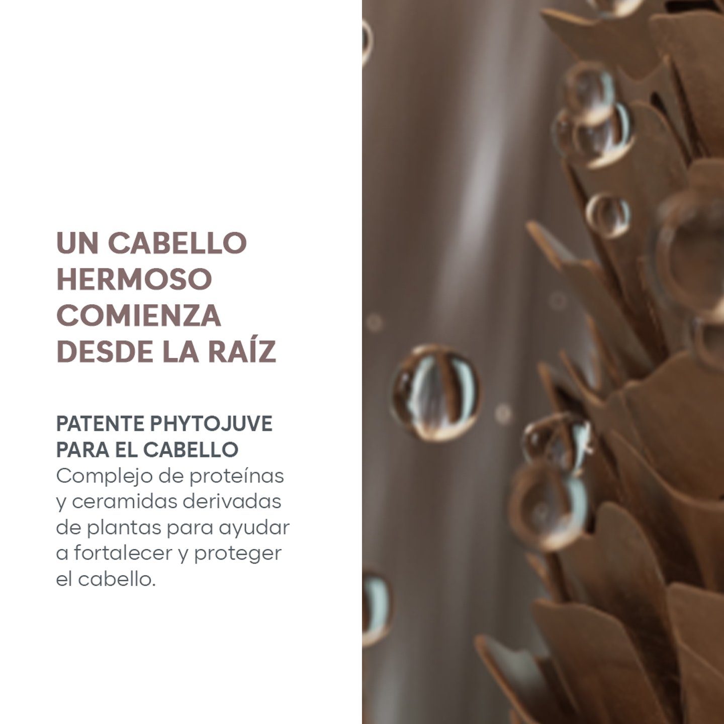 Suero Reparador Satinique Patente