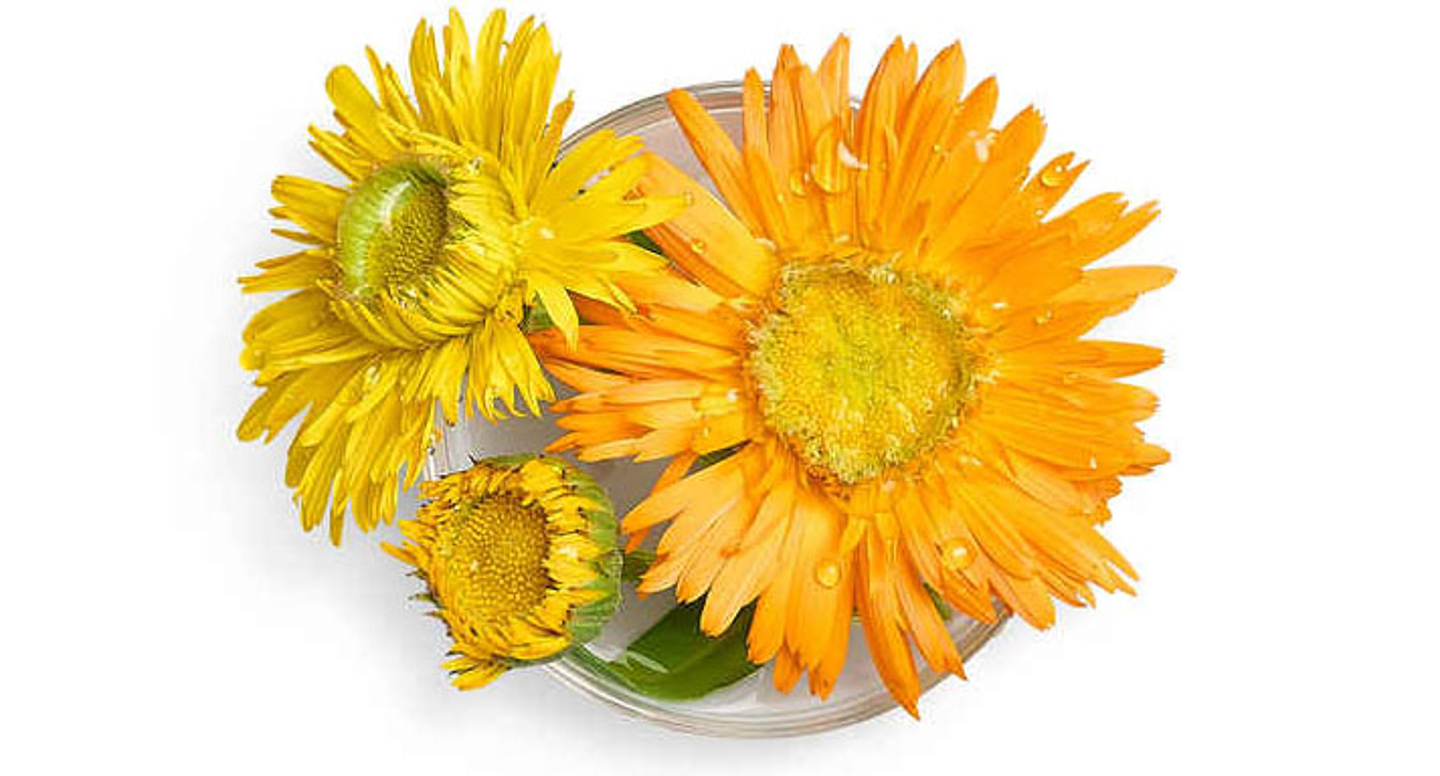 No hay imagen disponible