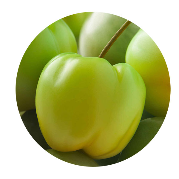 Cereza Acerola.