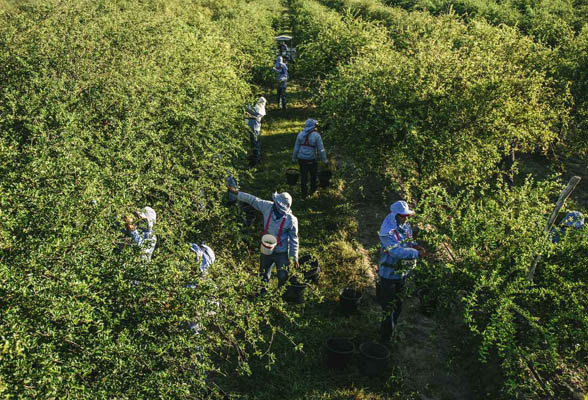  Imagen de Fazenda en Ubajara, Brasil.